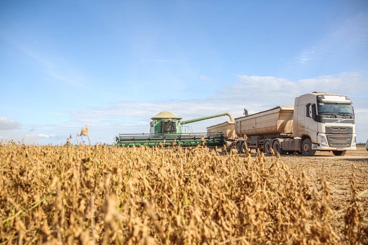 A combine harvester transfers soybeans to a truck during harvest on a sunny day in Paragominas, Brazil.